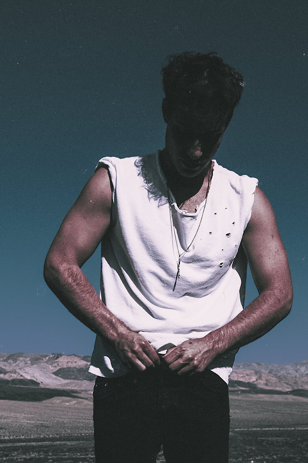 Sapphire Adizes silhouette against desert sky